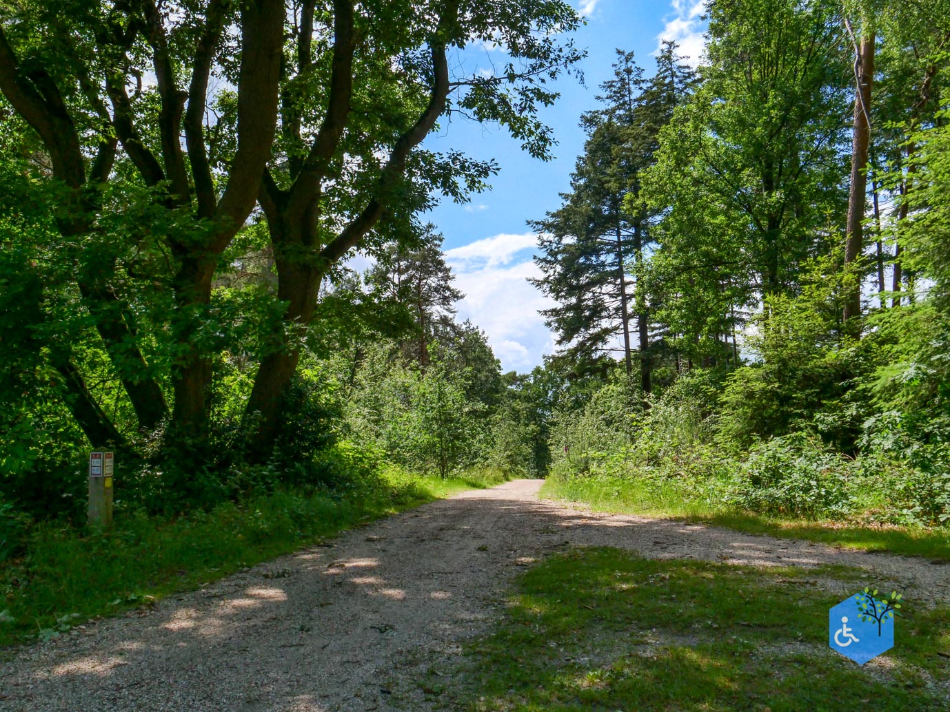 Molenhoek_Landgoedpad_Mookerheide_05-06-2026-16