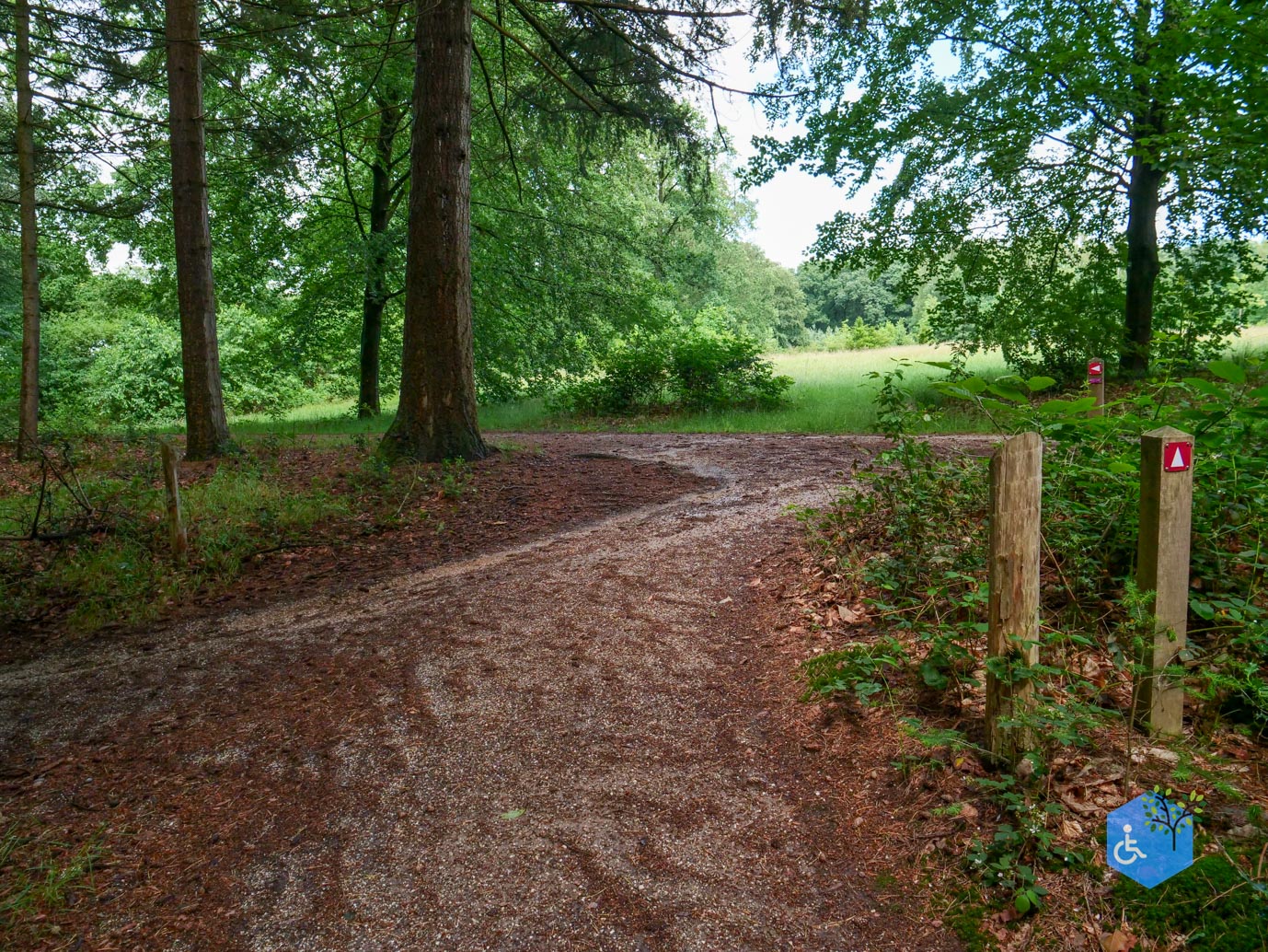 Molenhoek_Landgoedpad_Mookerheide_05-06-2026-19