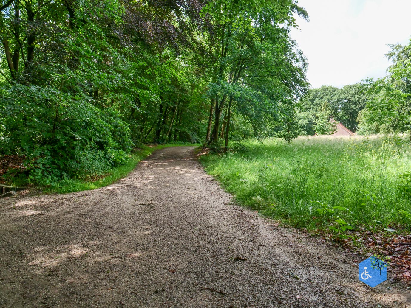 Molenhoek_Landgoedpad_Mookerheide_05-06-2026-21