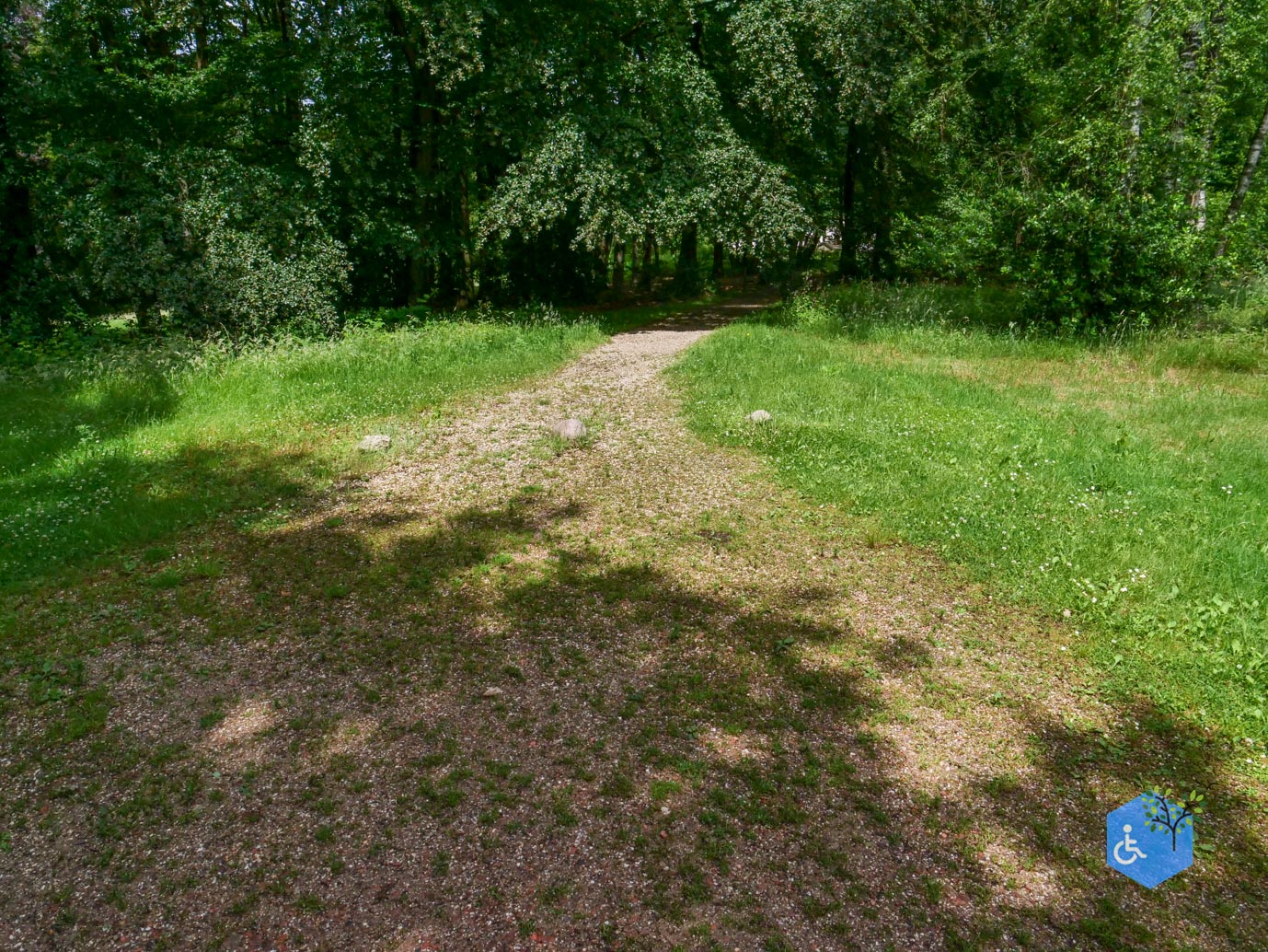 Molenhoek_Landgoedpad_Mookerheide_05-06-2026-24