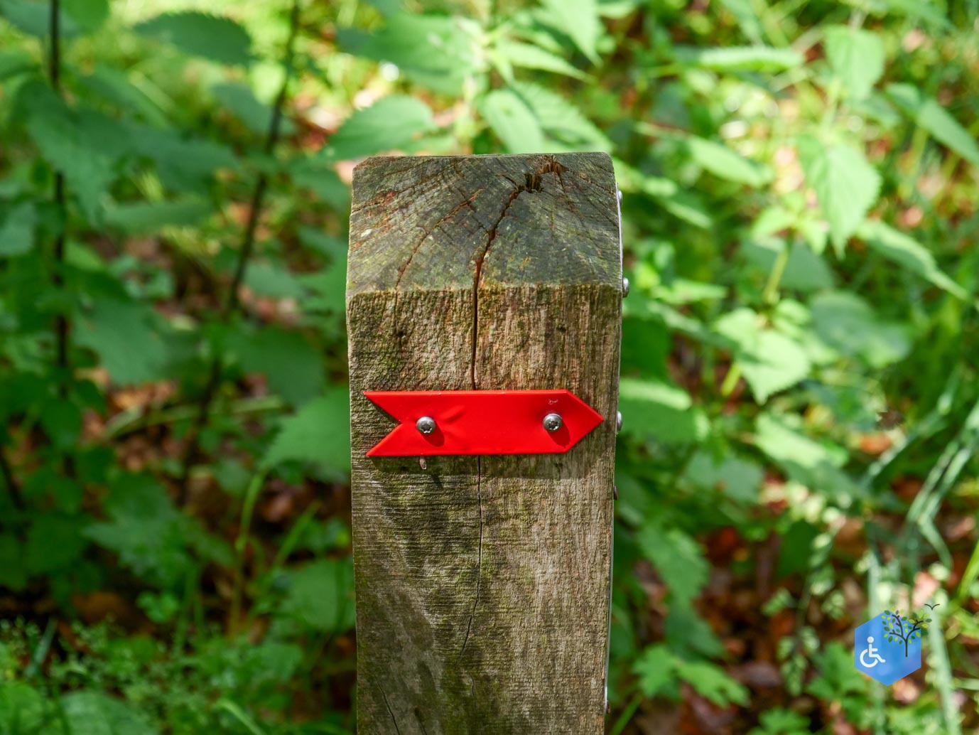 Molenhoek_Landgoedpad_Mookerheide_05-06-2026-27