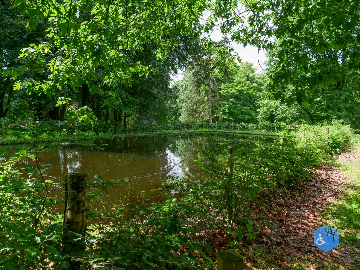 Molenhoek_Landgoedpad_Mookerheide_05-06-2026-28