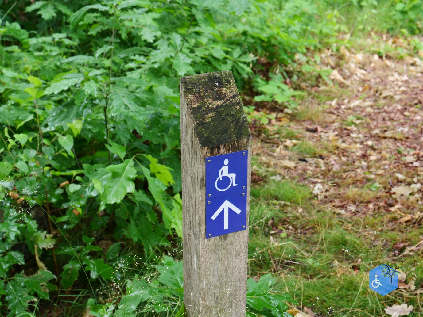 Overasselt_Heriberthapad_05-06-2026-03