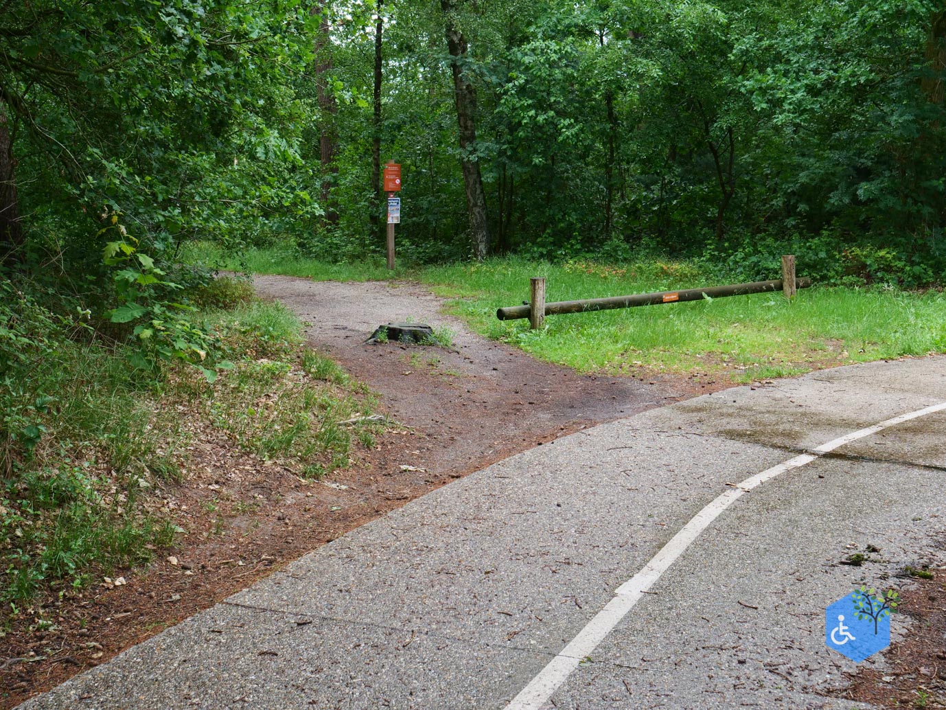 Overasselt_Heriberthapad_05-06-2026-06