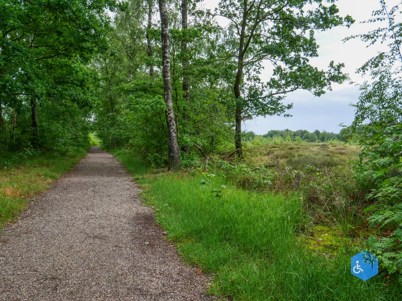 Overasselt_Heriberthapad_05-06-2026-09
