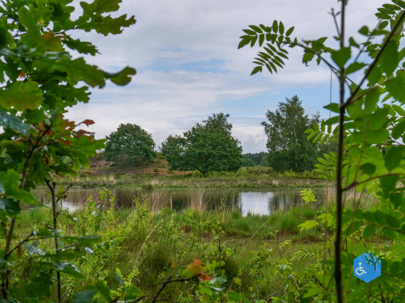 Overasselt_Heriberthapad_05-06-2026-10
