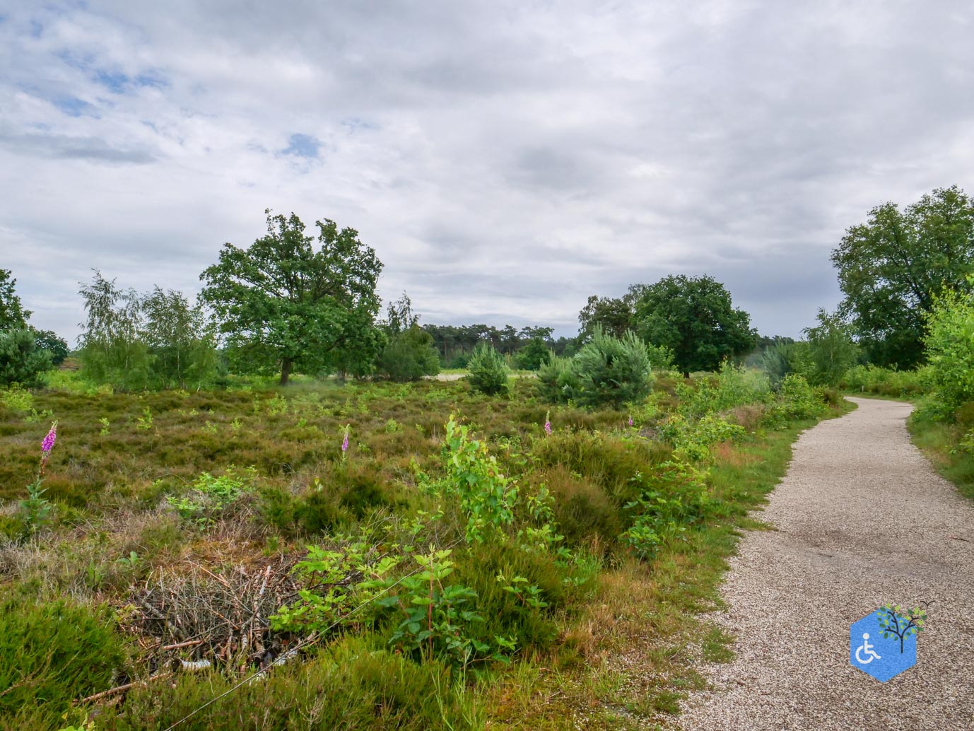 Overasselt_Heriberthapad_05-06-2026-12