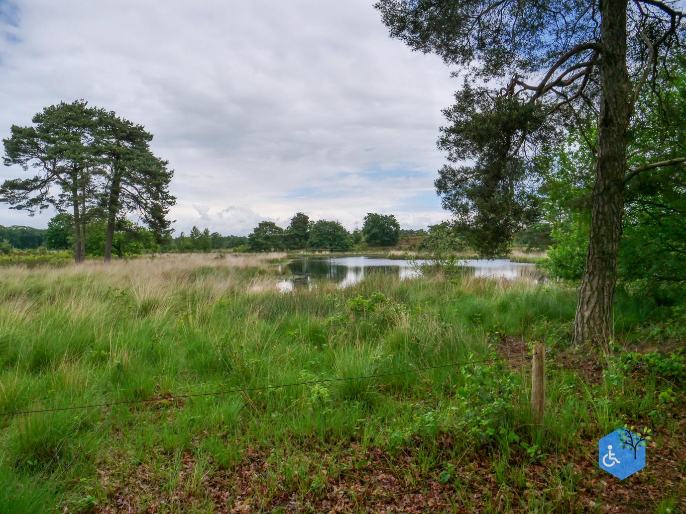 Overasselt_Heriberthapad_05-06-2026-13