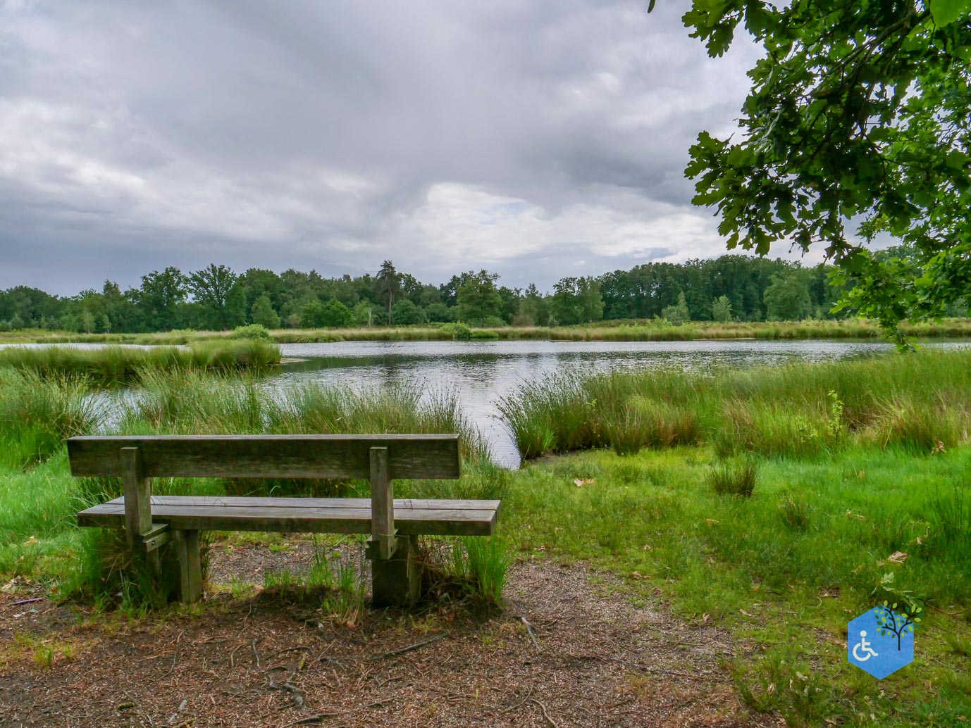 Overasselt_Heriberthapad_05-06-2026-15