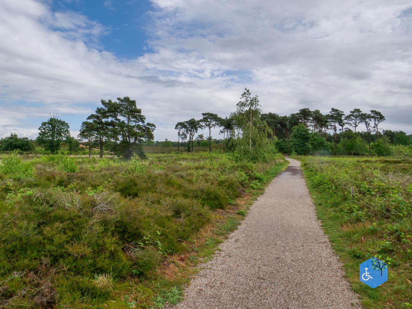 Overasselt_Heriberthapad_05-06-2026-16