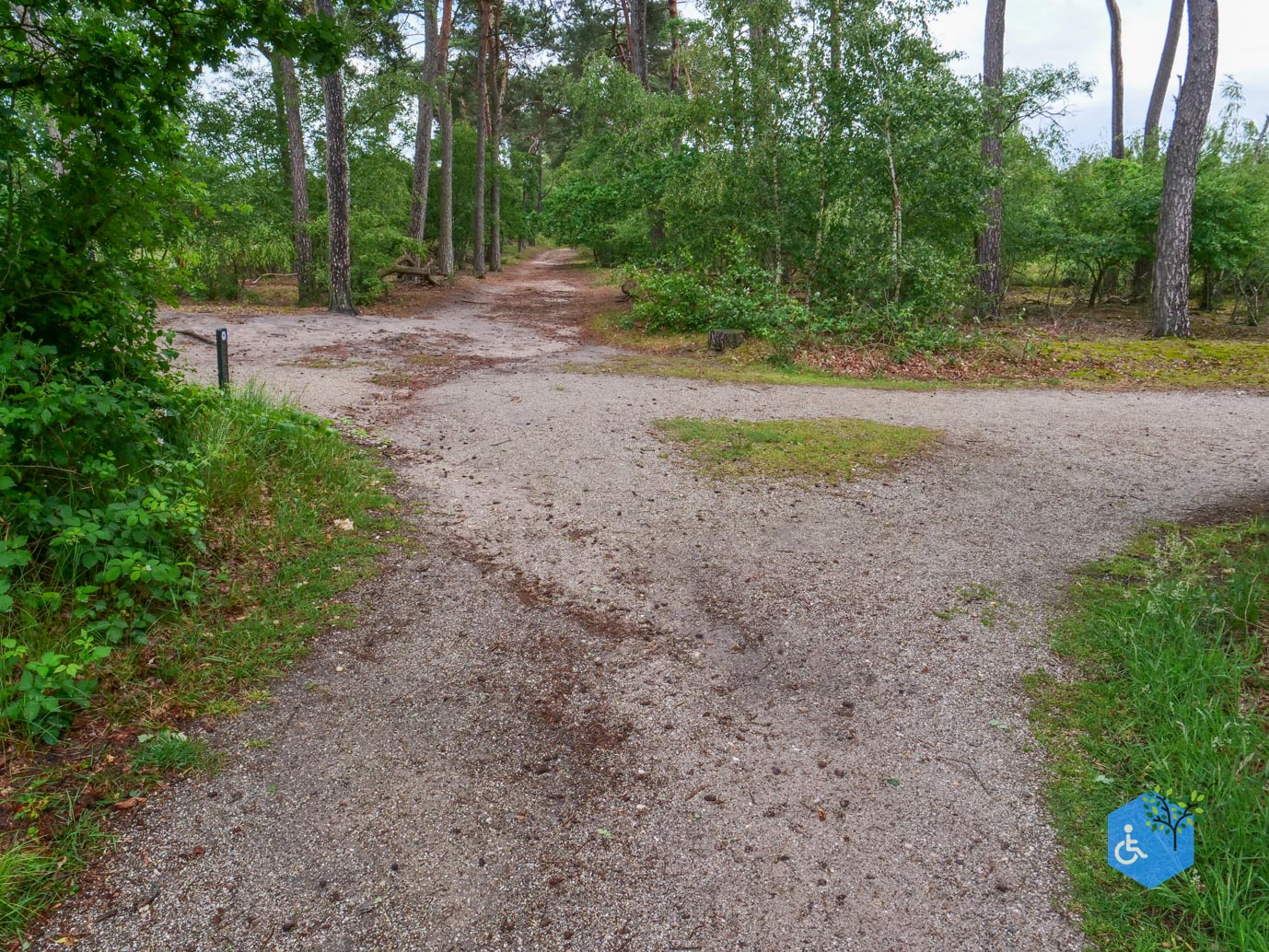 Overasselt_Heriberthapad_05-06-2026-18