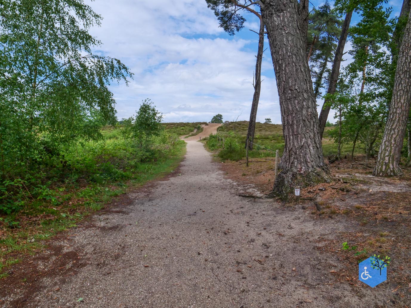 Overasselt_Heriberthapad_05-06-2026-19