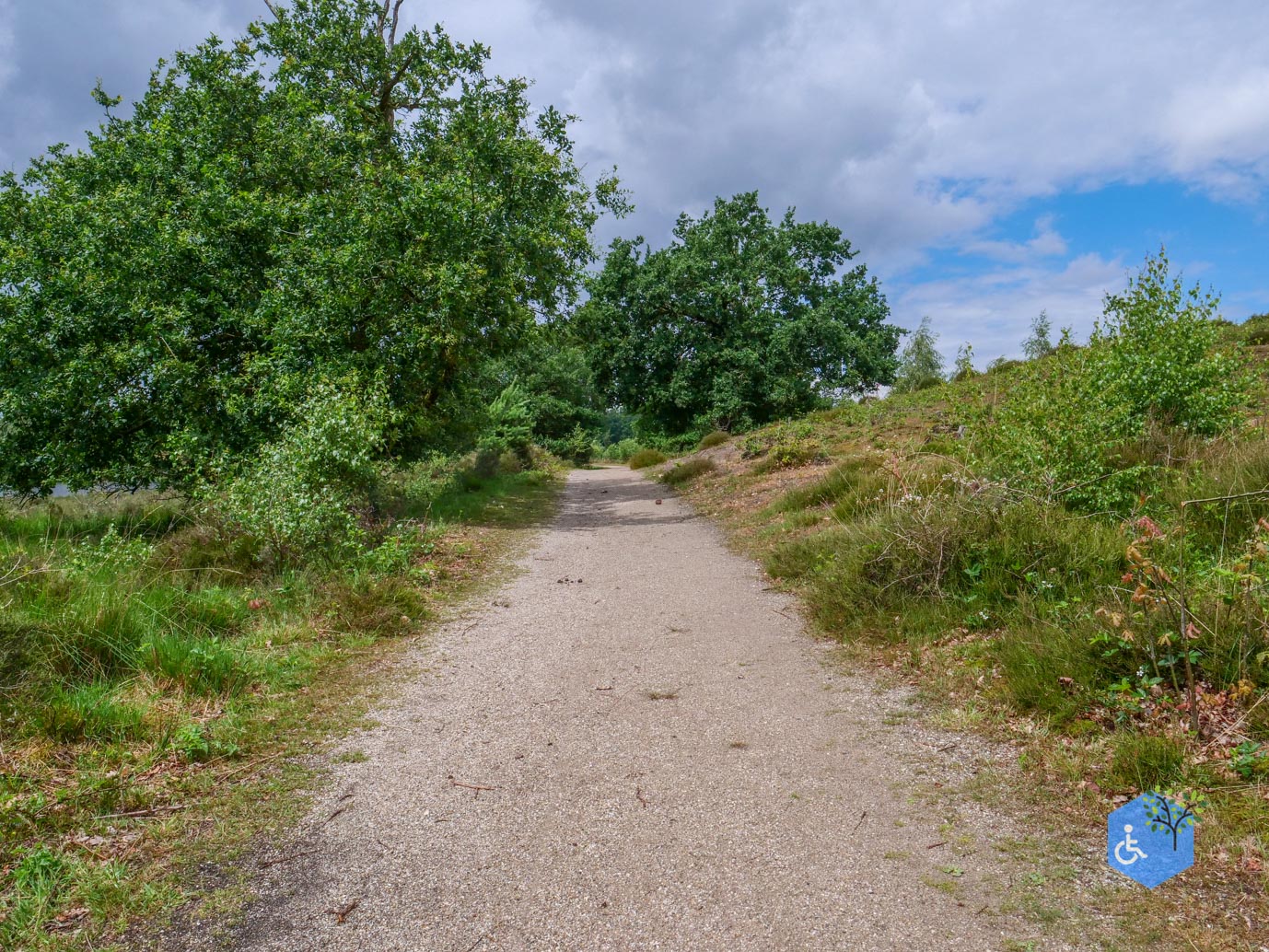 Overasselt_Heriberthapad_05-06-2026-22