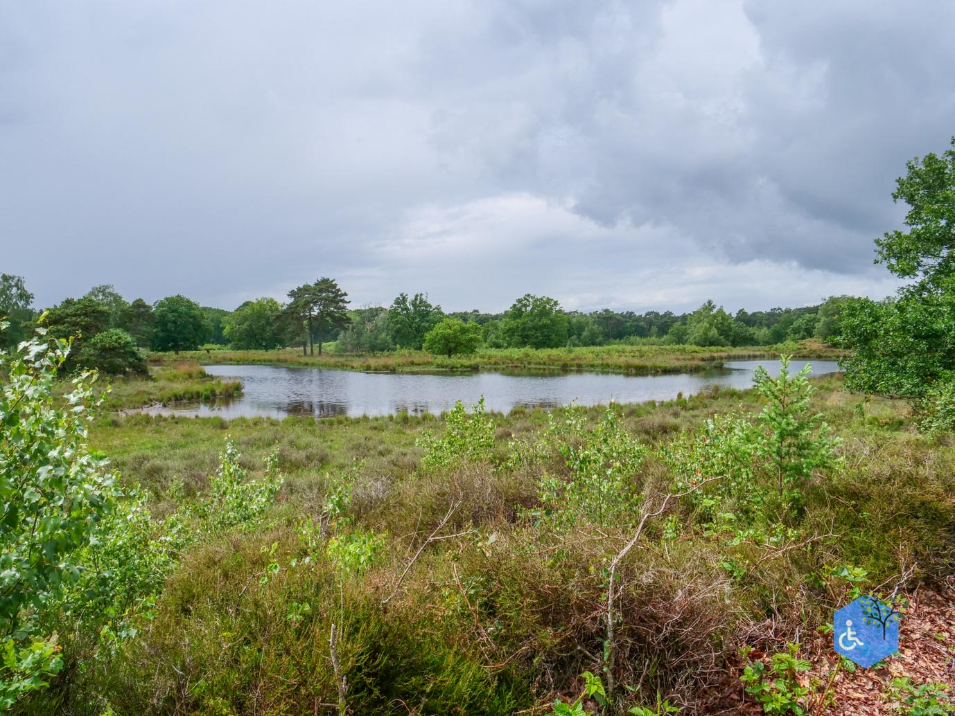 Overasselt_Heriberthapad_05-06-2026-24