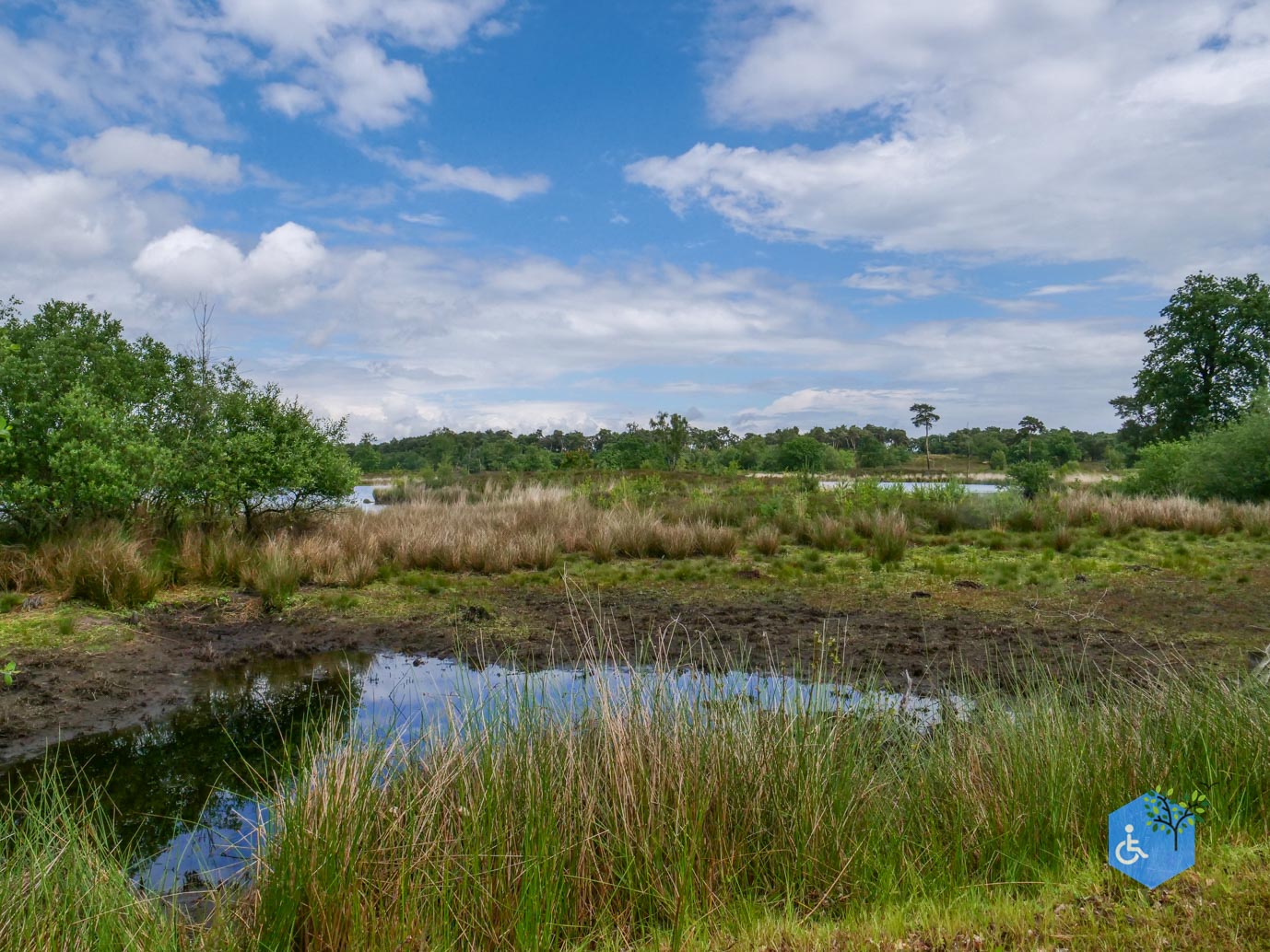 Overasselt_Heriberthapad_05-06-2026-27