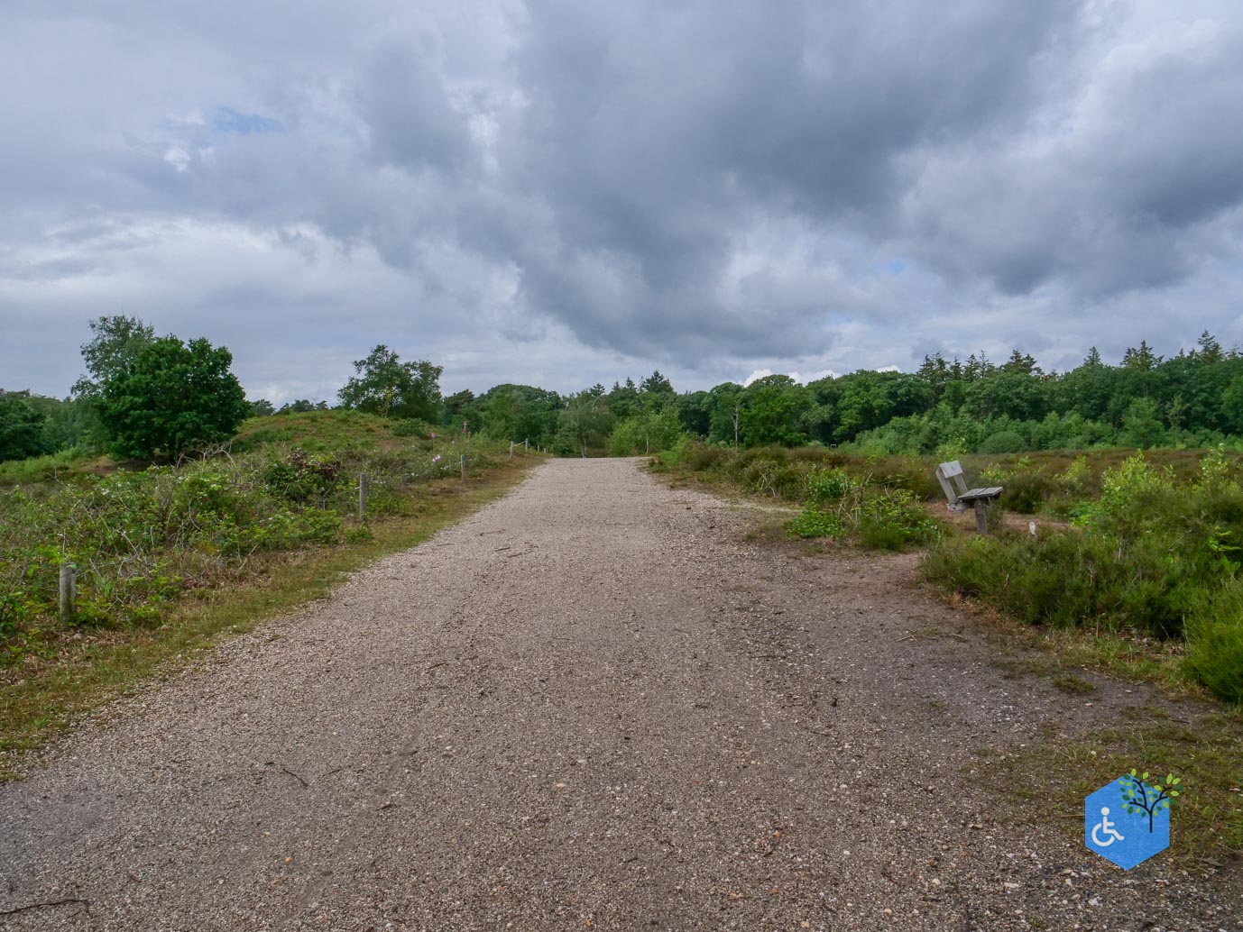Overasselt_Heriberthapad_05-06-2026-28