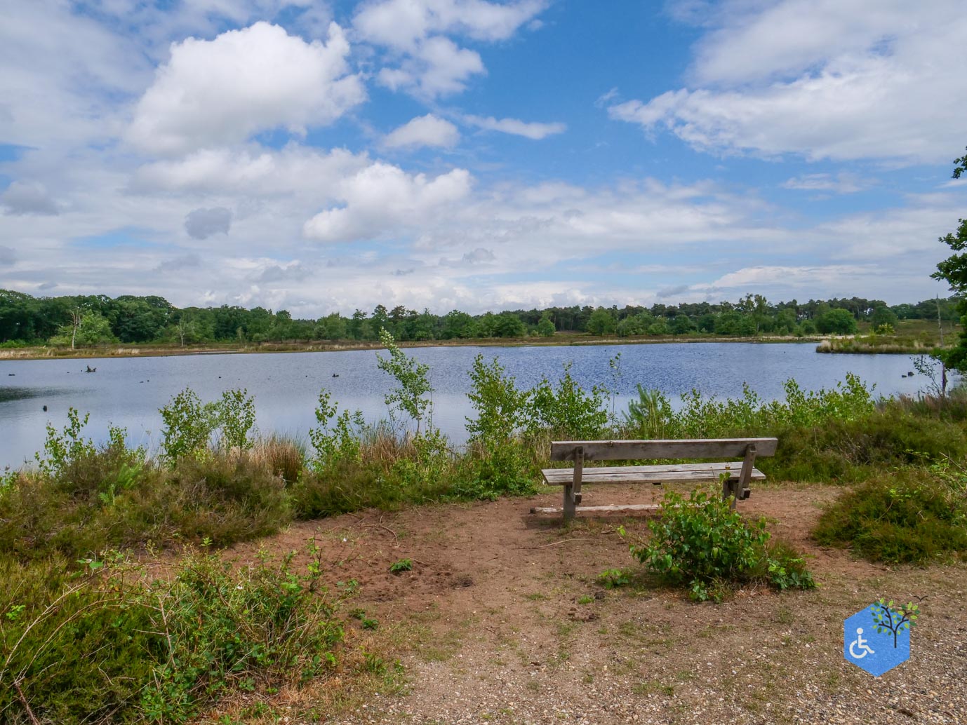 Overasselt_Heriberthapad_05-06-2026-29