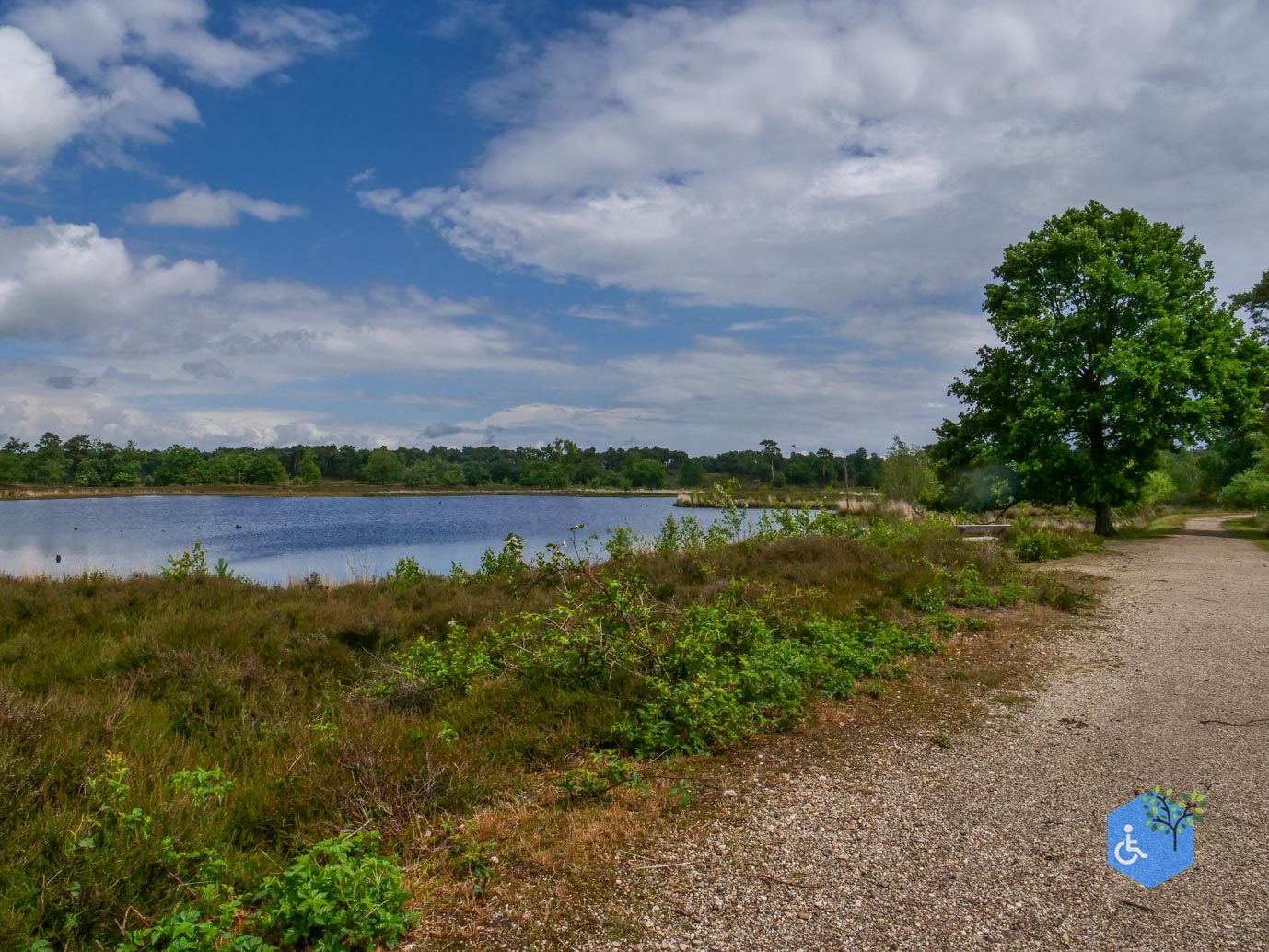 Overasselt_Heriberthapad_05-06-2026-30