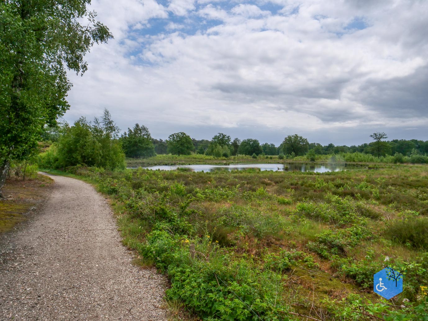 Overasselt_Heriberthapad_05-06-2026-31
