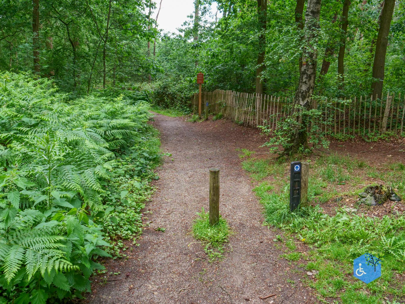 Overasselt_Heriberthapad_05-06-2026-36