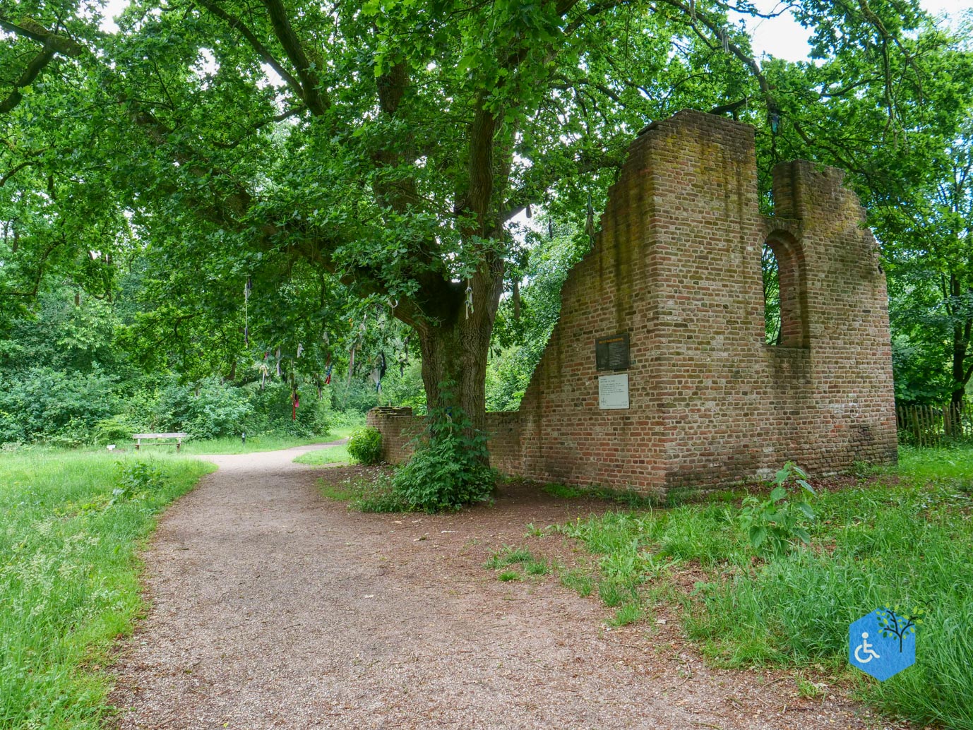 Overasselt_Heriberthapad_05-06-2026-38