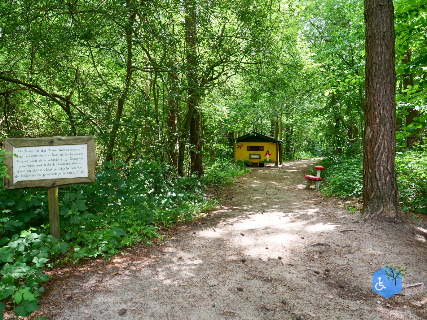 Dronten_Het_Grote_Kabouterbos_03-07-2026-03