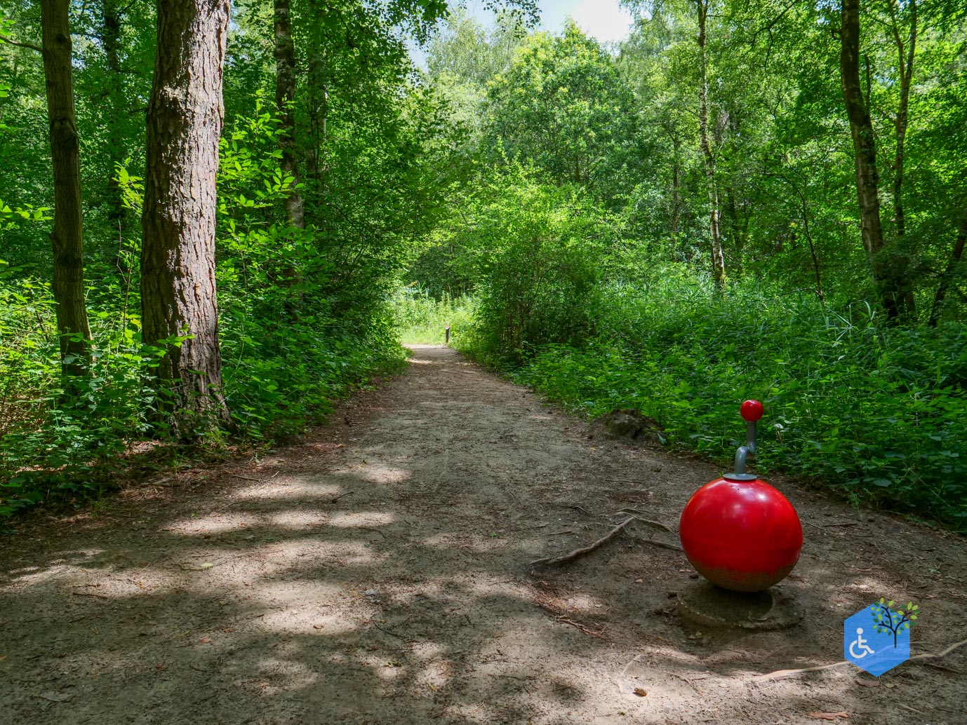 Dronten_Het_Grote_Kabouterbos_03-07-2026-04
