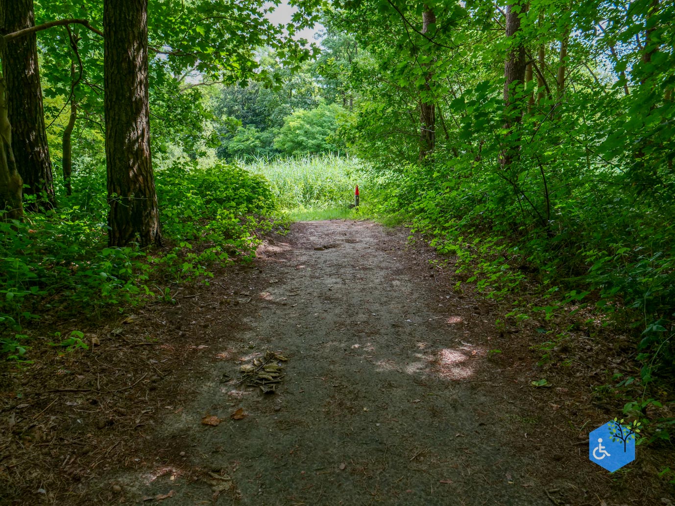 Dronten_Het_Grote_Kabouterbos_03-07-2026-07
