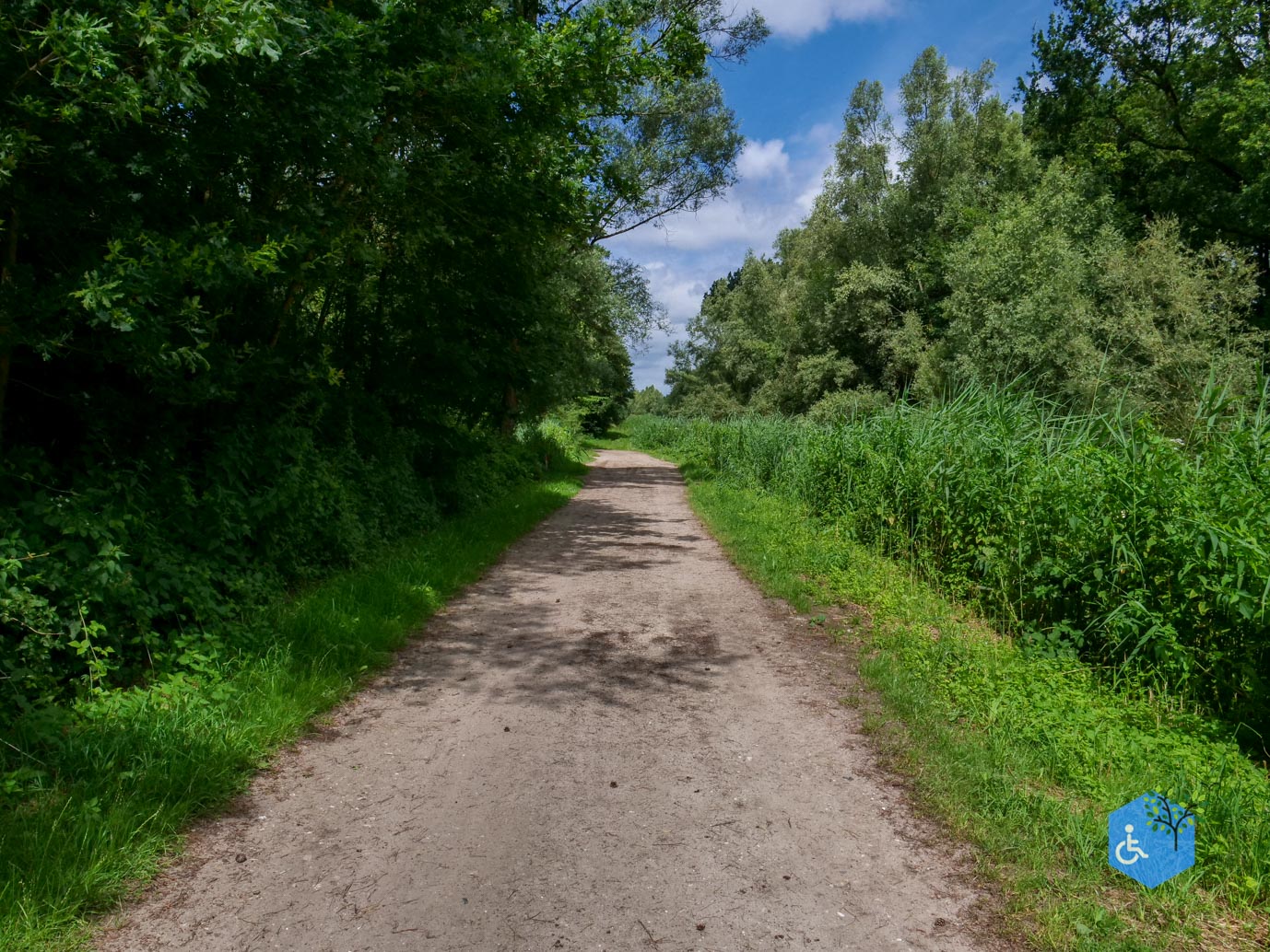 Dronten_Het_Grote_Kabouterbos_03-07-2026-08