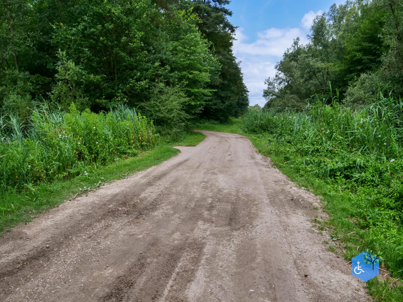 Dronten_Het_Grote_Kabouterbos_03-07-2026-10
