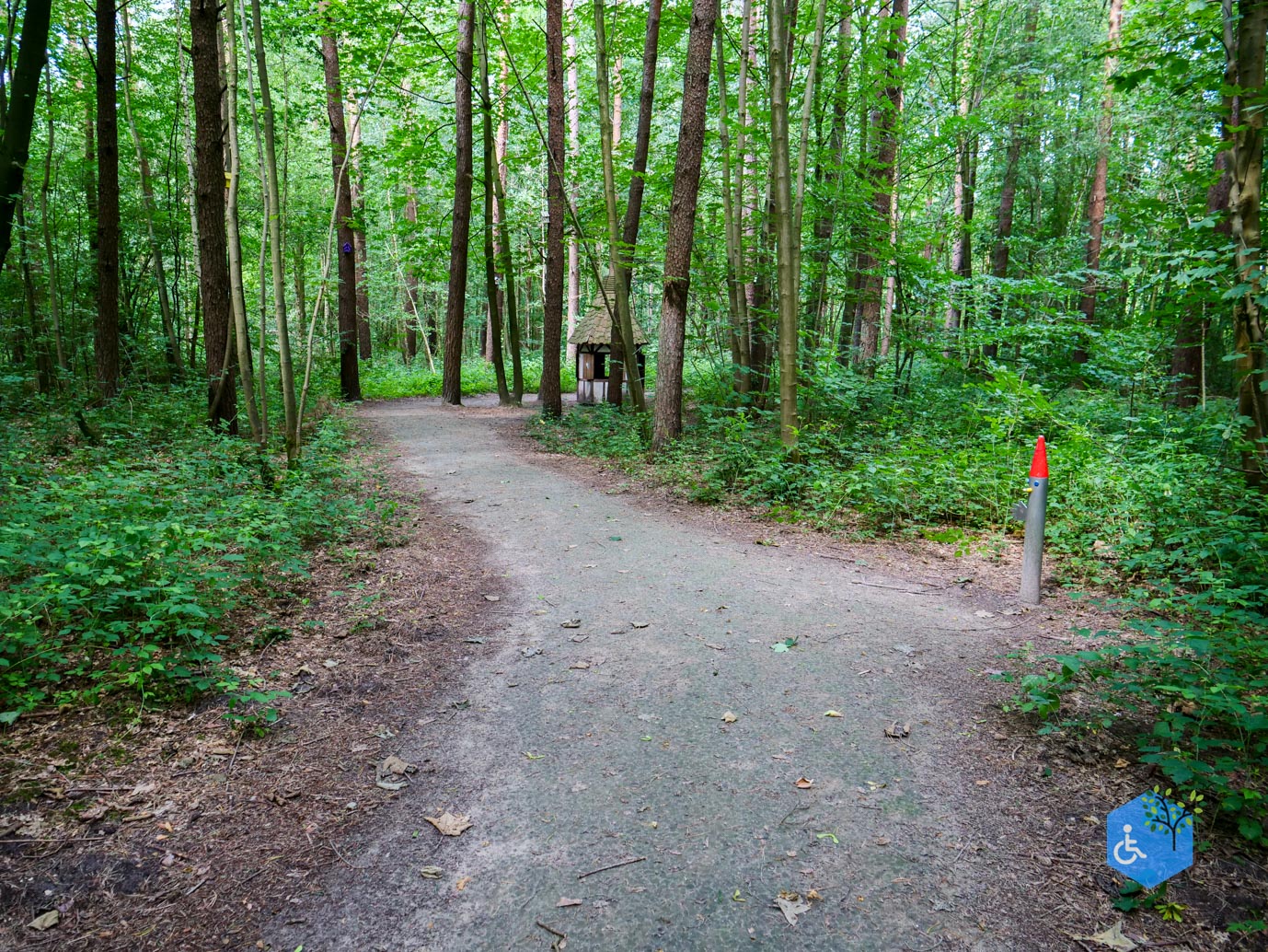 Dronten_Het_Grote_Kabouterbos_03-07-2026-11