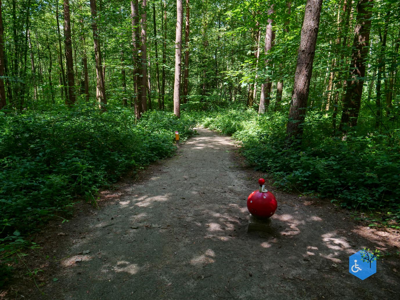 Dronten_Het_Grote_Kabouterbos_03-07-2026-12