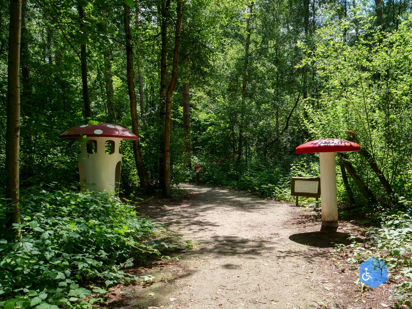 Dronten_Het_Grote_Kabouterbos_03-07-2026-13