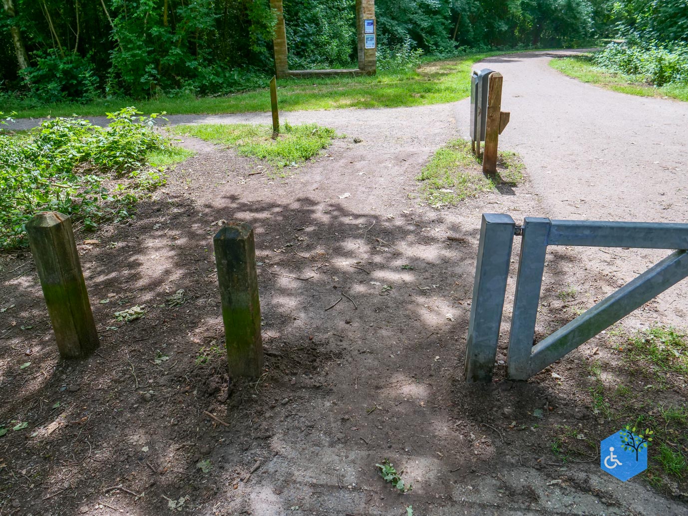 Dronten_Mindervalidenpad_Wisentbos_03-07-2026-02