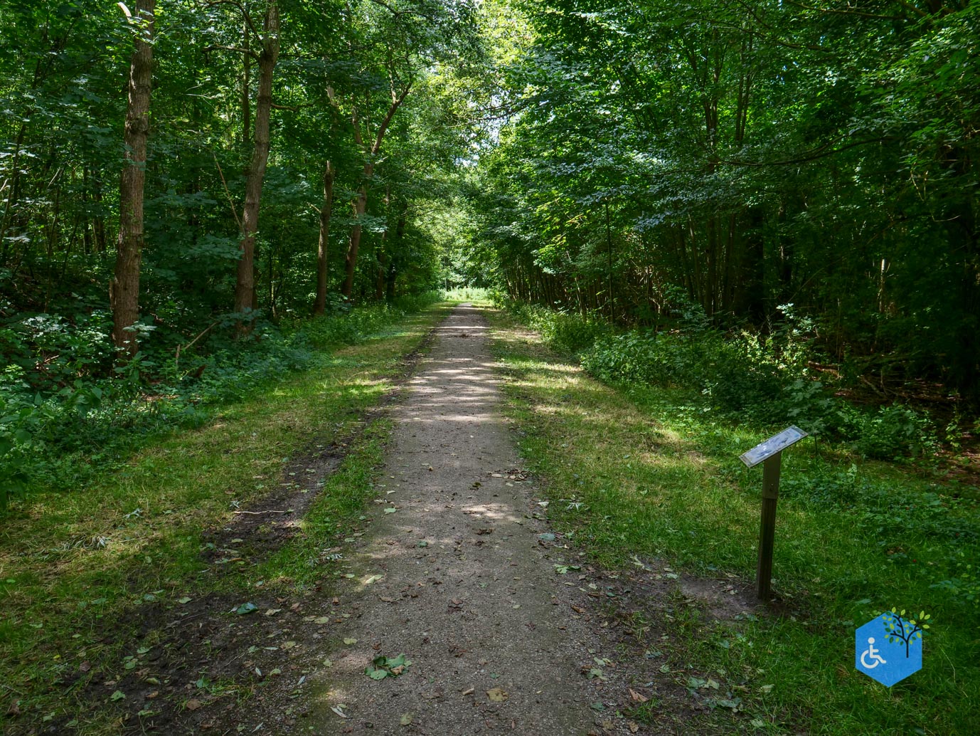 Dronten_Mindervalidenpad_Wisentbos_03-07-2026-05