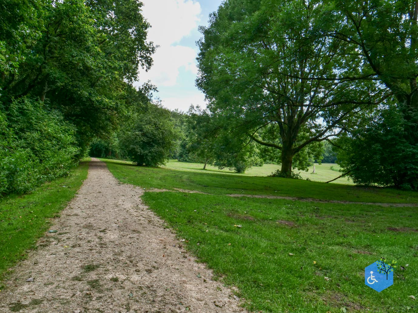 Dronten_Mindervalidenpad_Wisentbos_03-07-2026-13