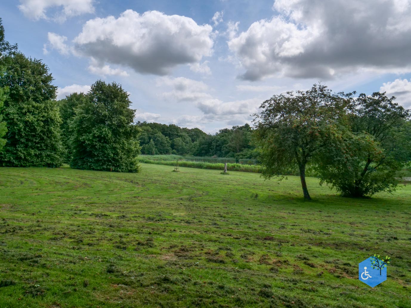 Dronten_Mindervalidenpad_Wisentbos_03-07-2026-14