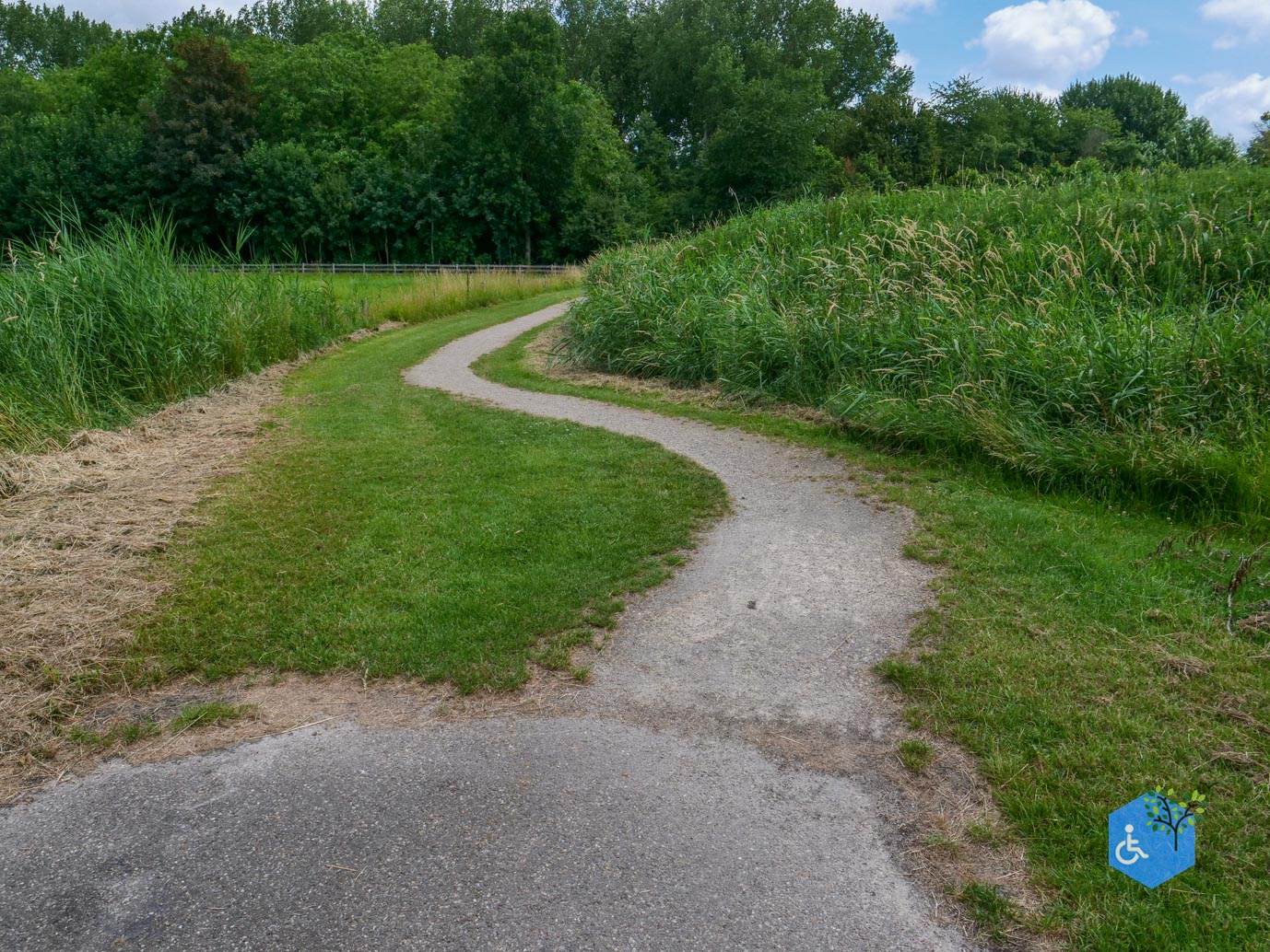 Dronten_Mindervalidenpad_Wisentbos_03-07-2026-18