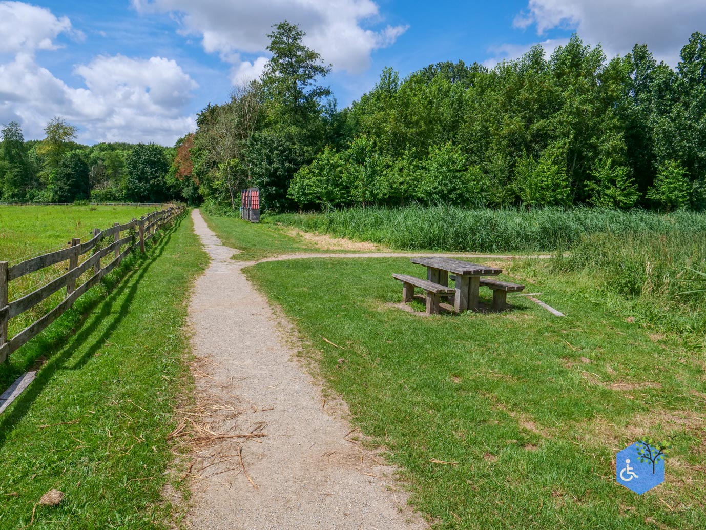 Dronten_Mindervalidenpad_Wisentbos_03-07-2026-23