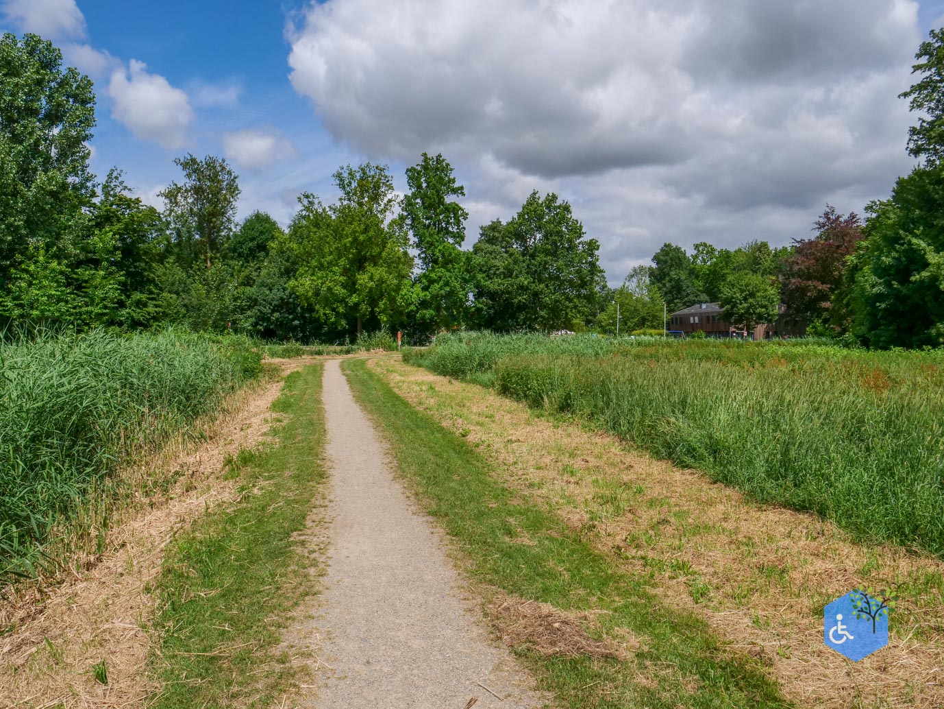 Dronten_Mindervalidenpad_Wisentbos_03-07-2026-25