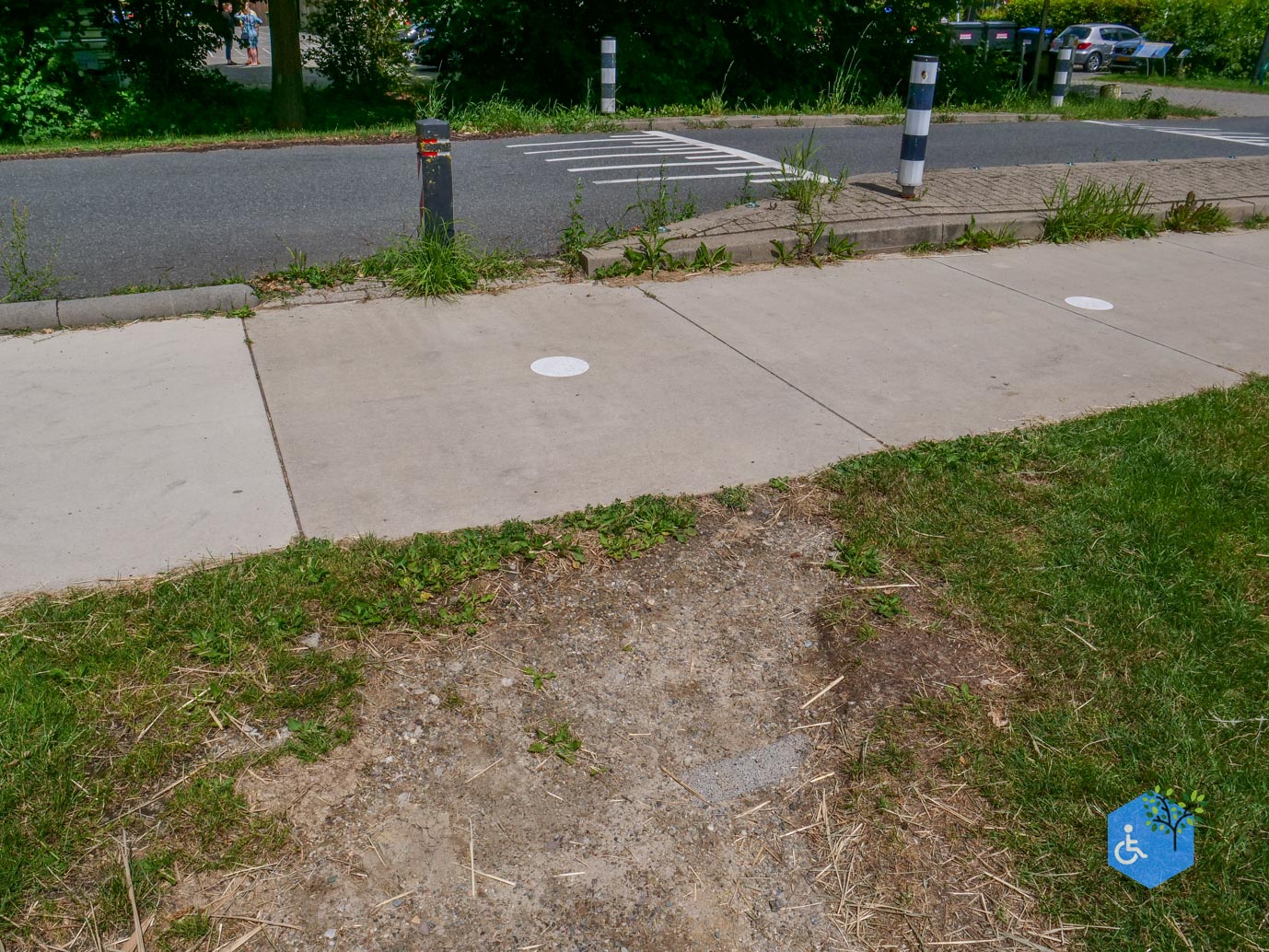 Dronten_Mindervalidenpad_Wisentbos_03-07-2026-26