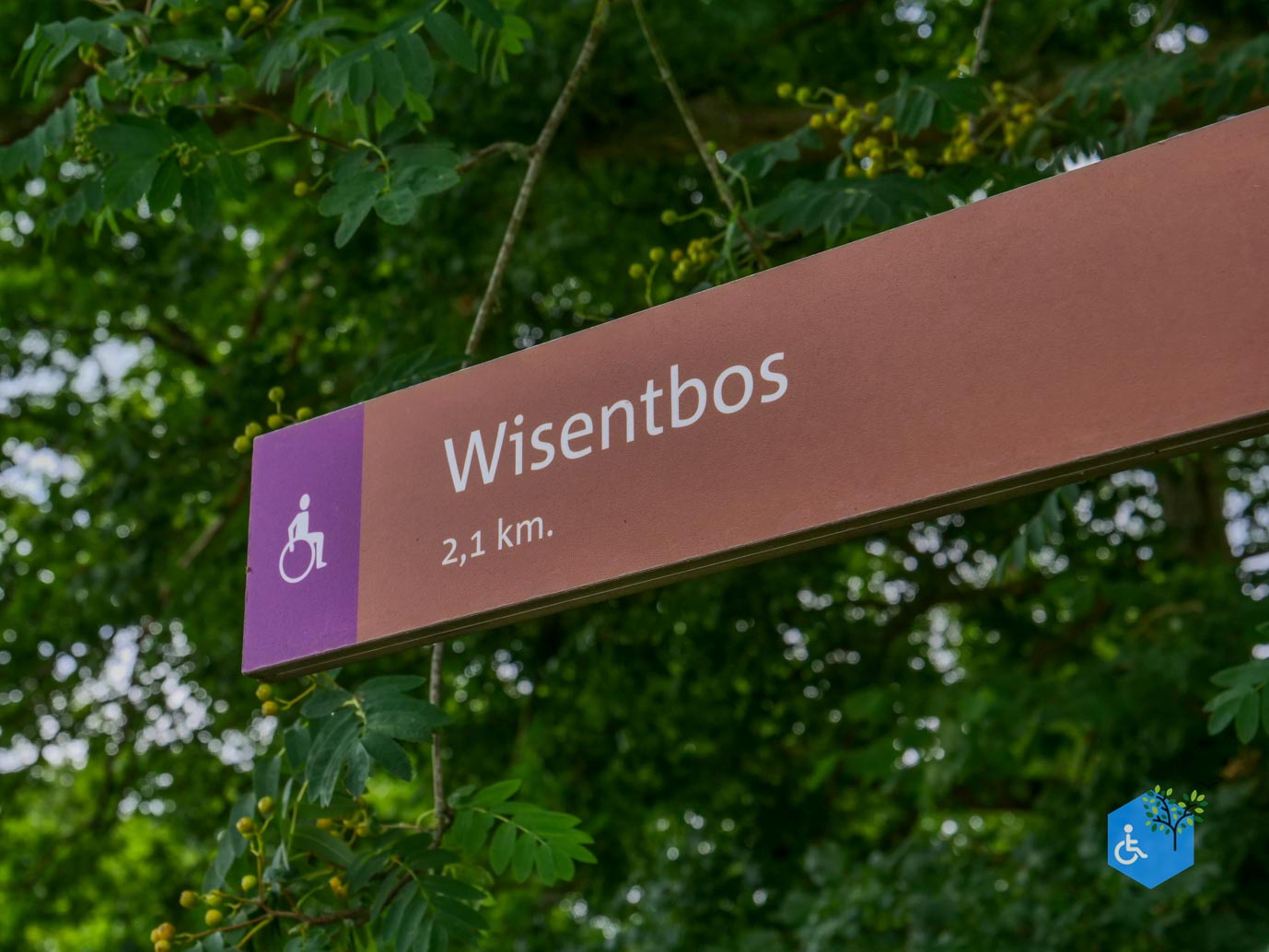 Dronten_Mindervalidenpad_Wisentbos_03-07-2026-29
