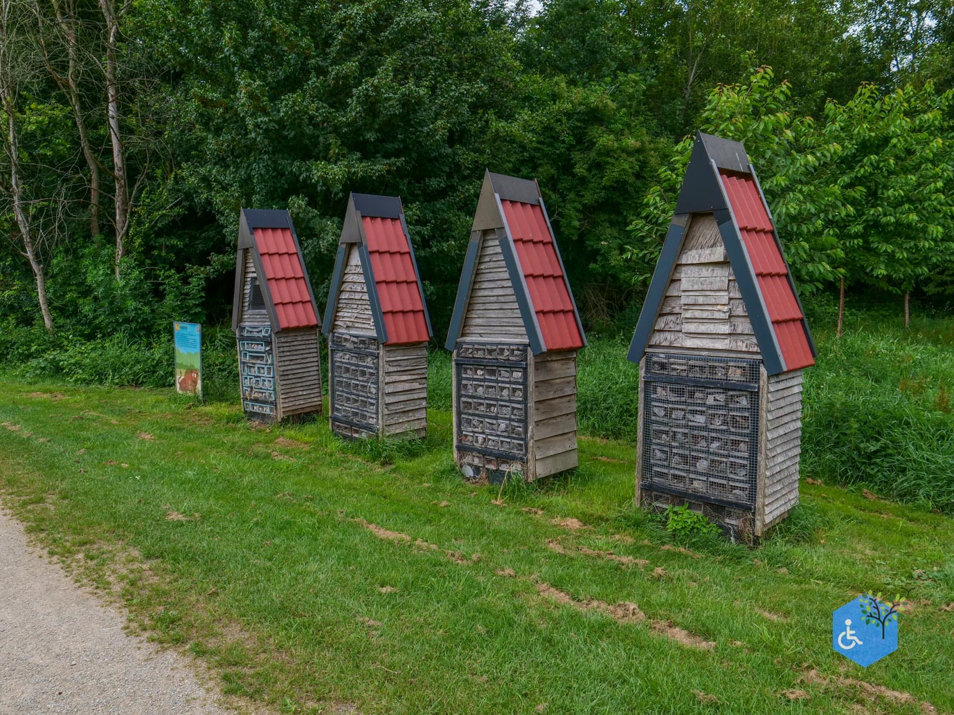 Dronten_Mindervalidenpad_Wisentbos_03-07-2026-31