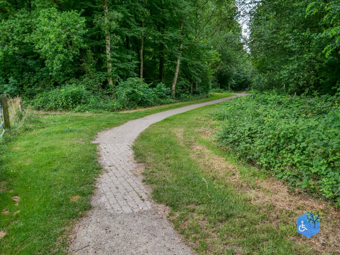 Dronten_Mindervalidenpad_Wisentbos_03-07-2026-33