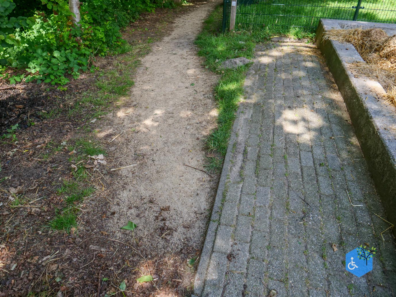Dronten_Mindervalidenpad_Wisentbos_03-07-2026-36