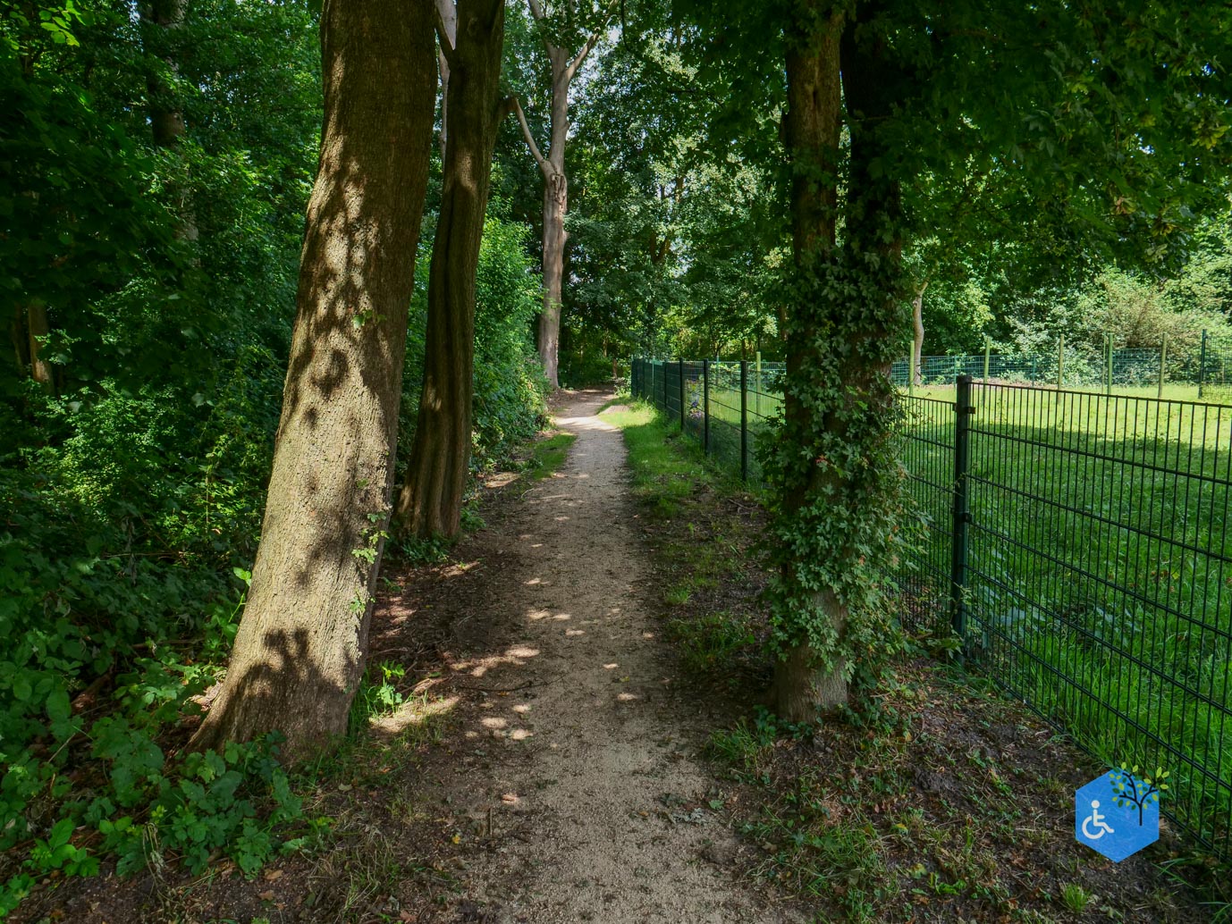 Dronten_Mindervalidenpad_Wisentbos_03-07-2026-37