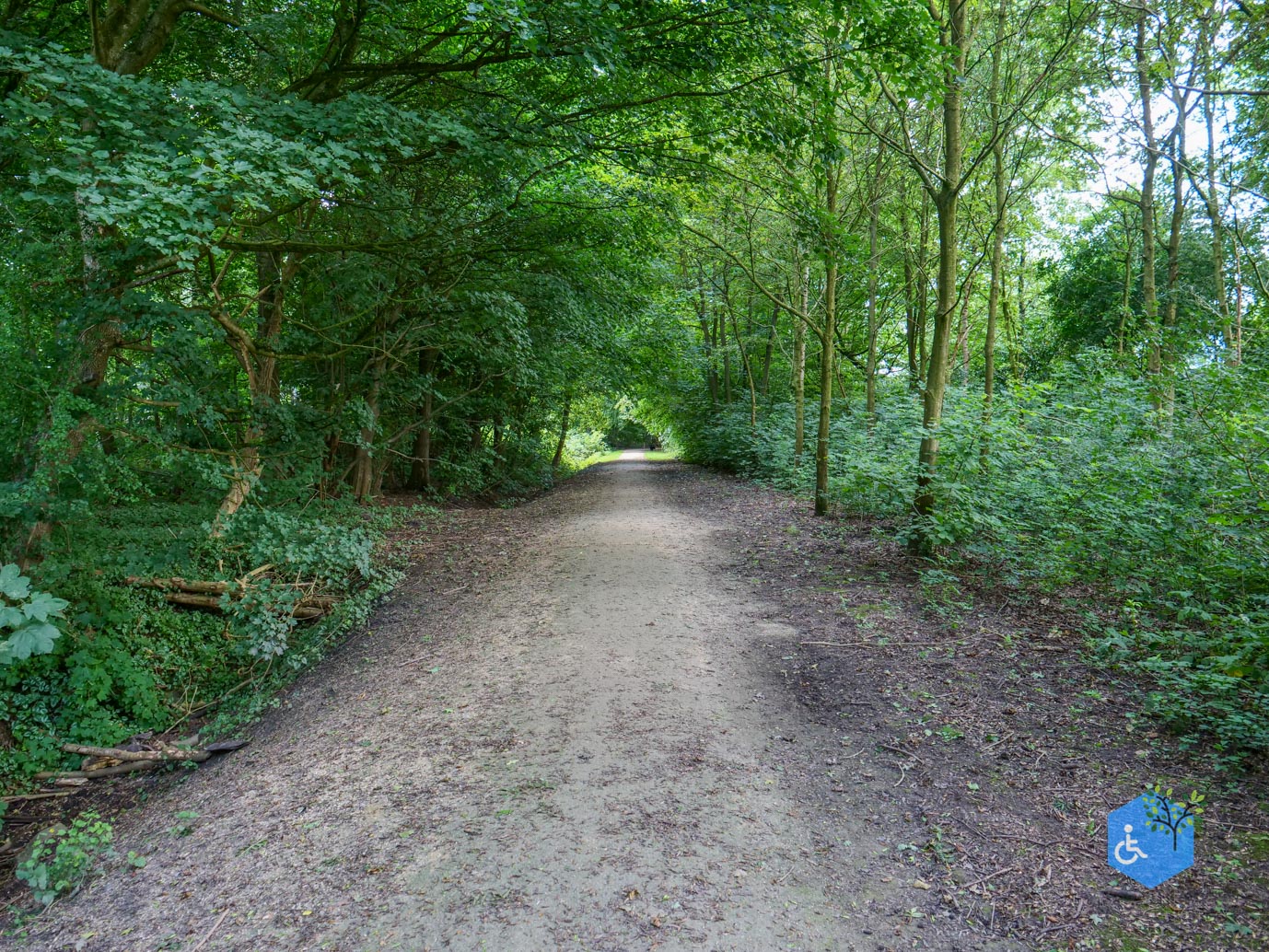 Dronten_Mindervalidenpad_Wisentbos_03-07-2026-38
