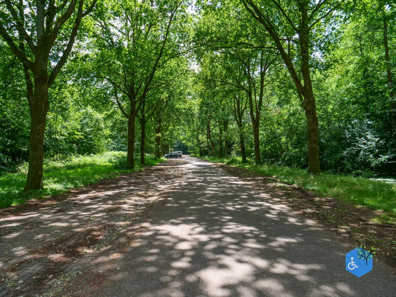Dronten_Mindervalidenpad_Wisentbos_03-07-2026-42