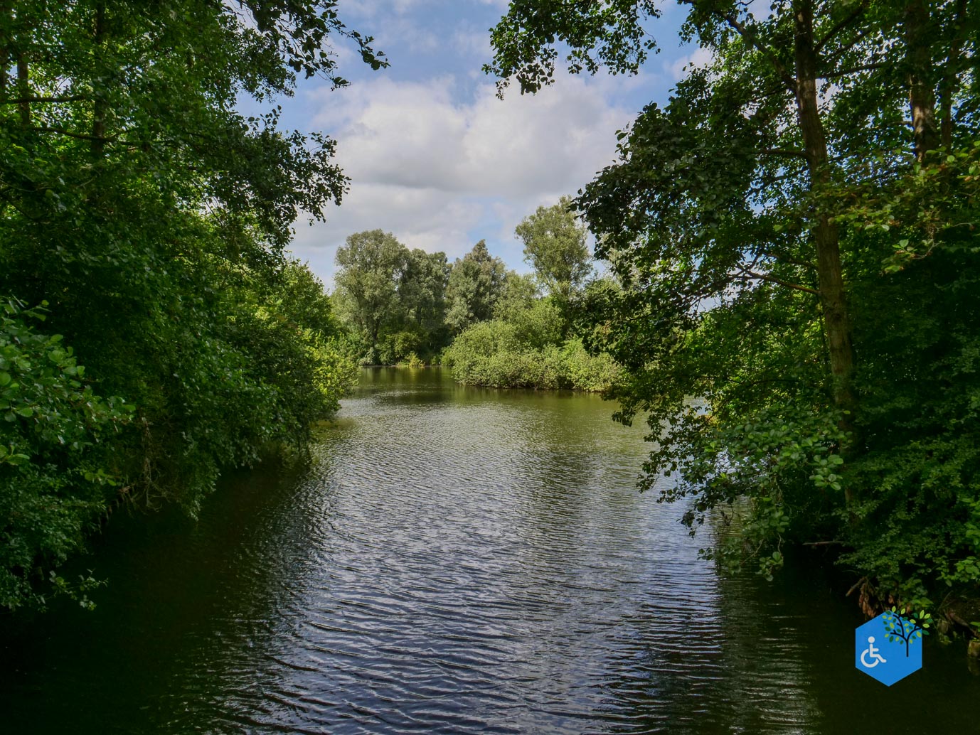 Lelystad_Zuigerplas_03-07-2026-07