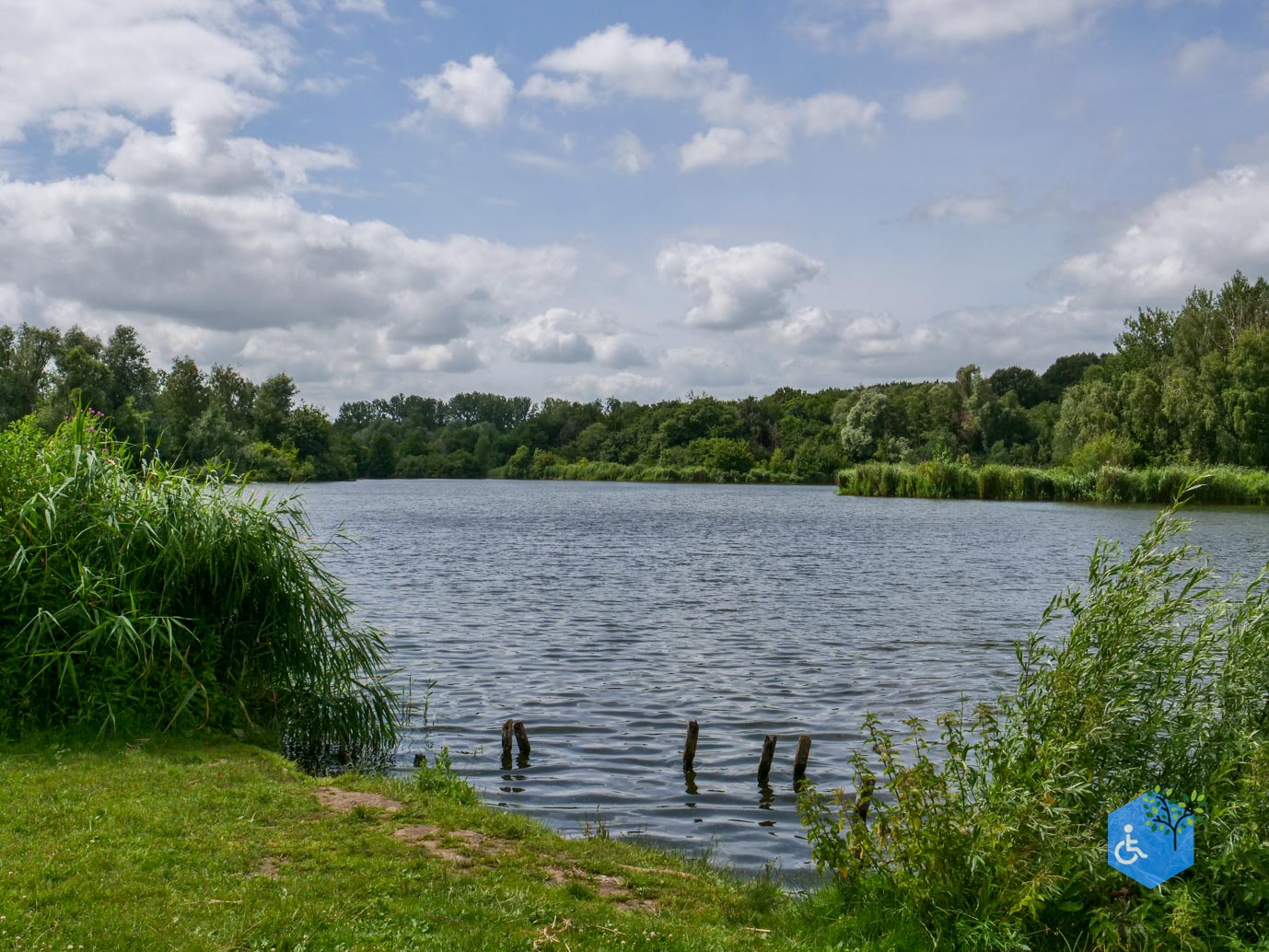 Lelystad_Zuigerplas_03-07-2026-10